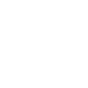 Innovation Icon