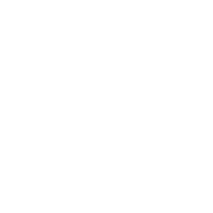 Protection Icon