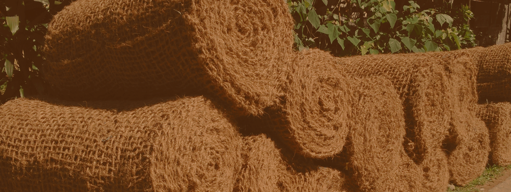 south eastern fiber banner 1
